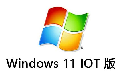 Windows 11 IOT 版